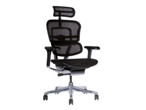 Silla Ergohuman Elite malla